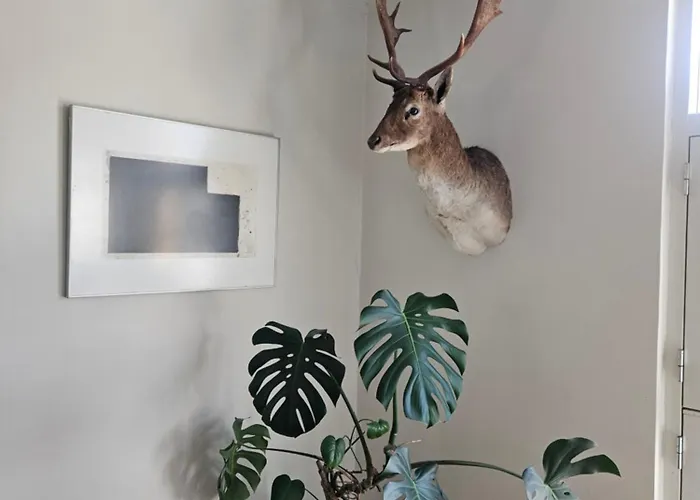 Charming Heritage Townhouse * Odense